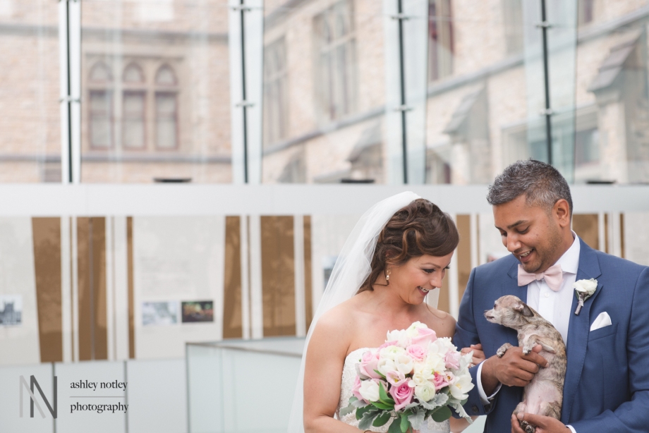Bride and groom with their chihuahua at the Canadian Museum of Nature