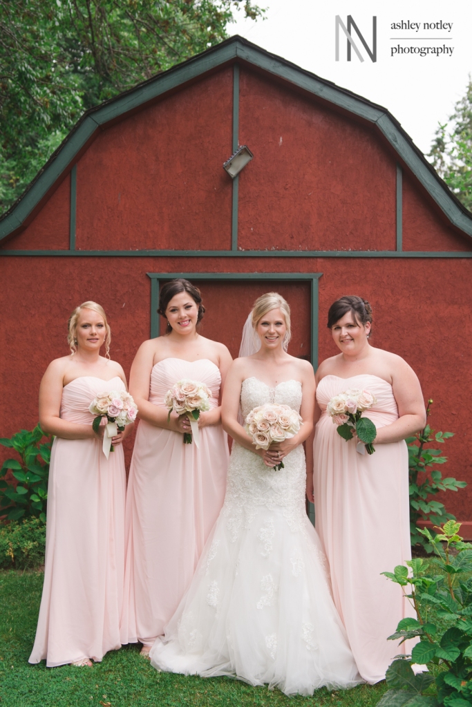 Bride and bridesmaids in front of red shed