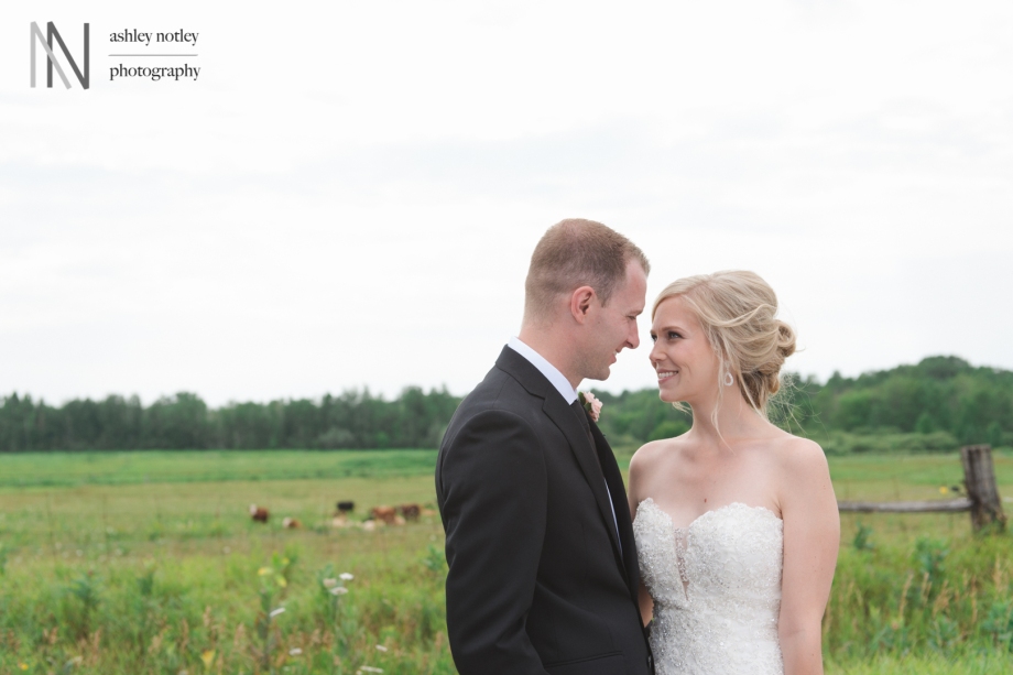 Bride and groom in country with cows