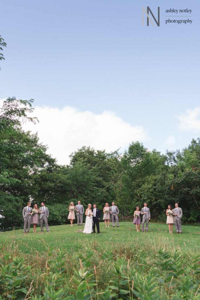 Wedding party on a hill with blue sky